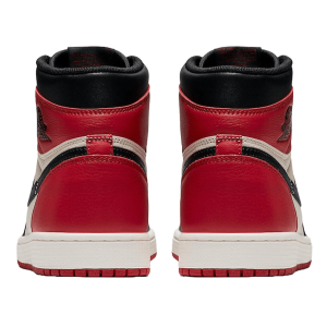 Nike Air Jordan 1 Retro High Bred Toe Back